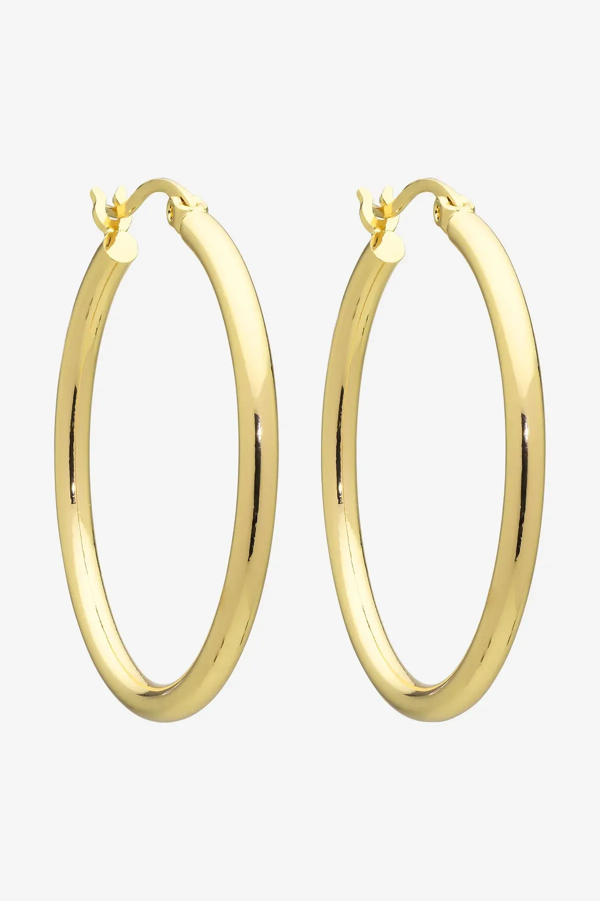 Erika Gold Hoop Earrings