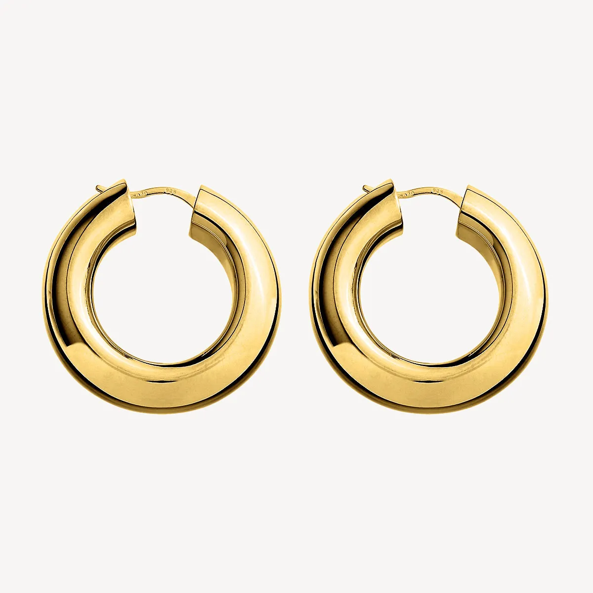 Panorama Hoop Earrings