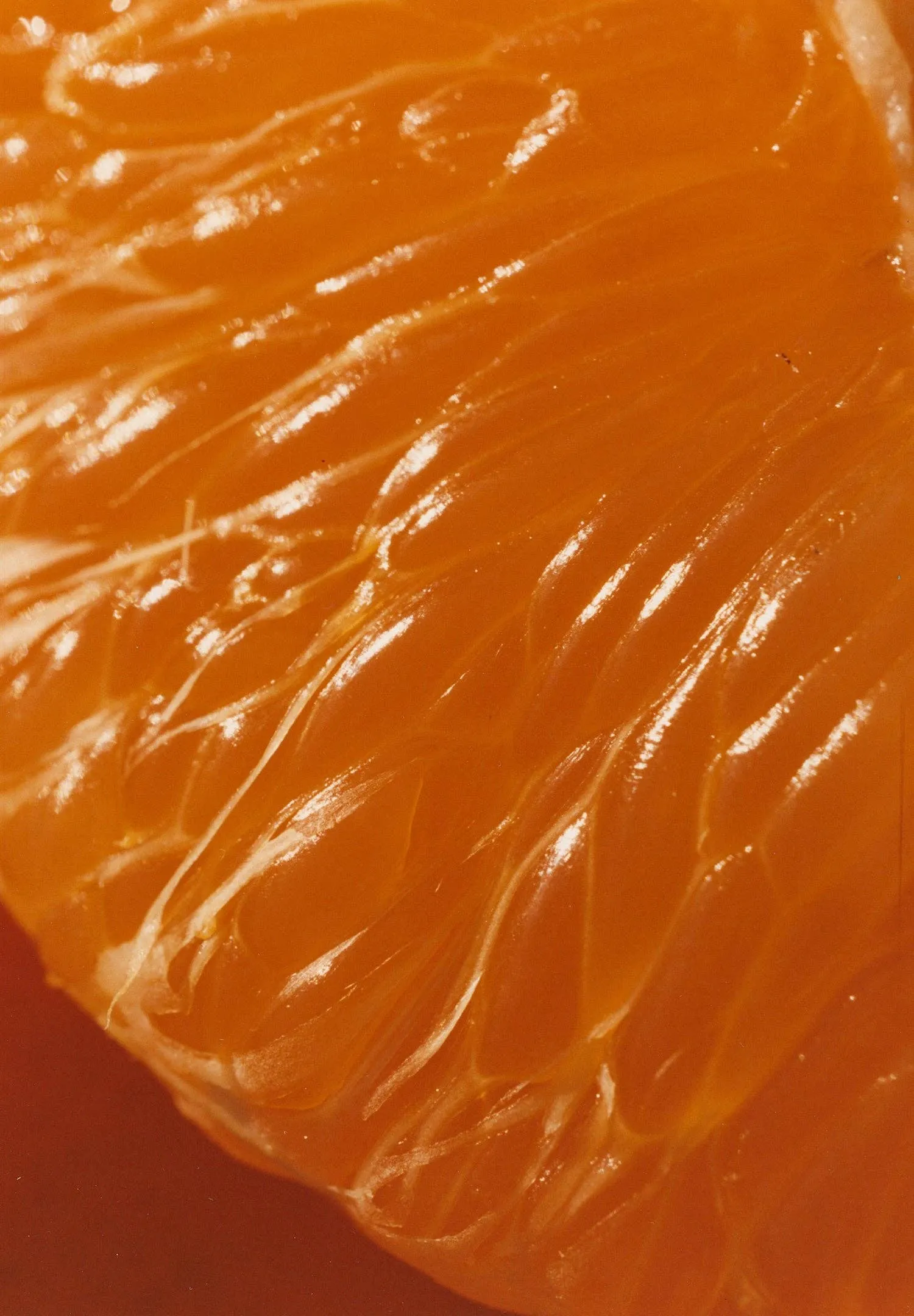 Ruby Valencia & Apricot Fruit Spread
